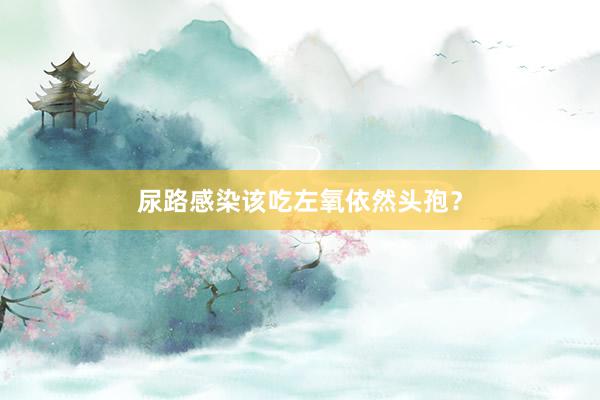 尿路感染该吃左氧依然头孢？